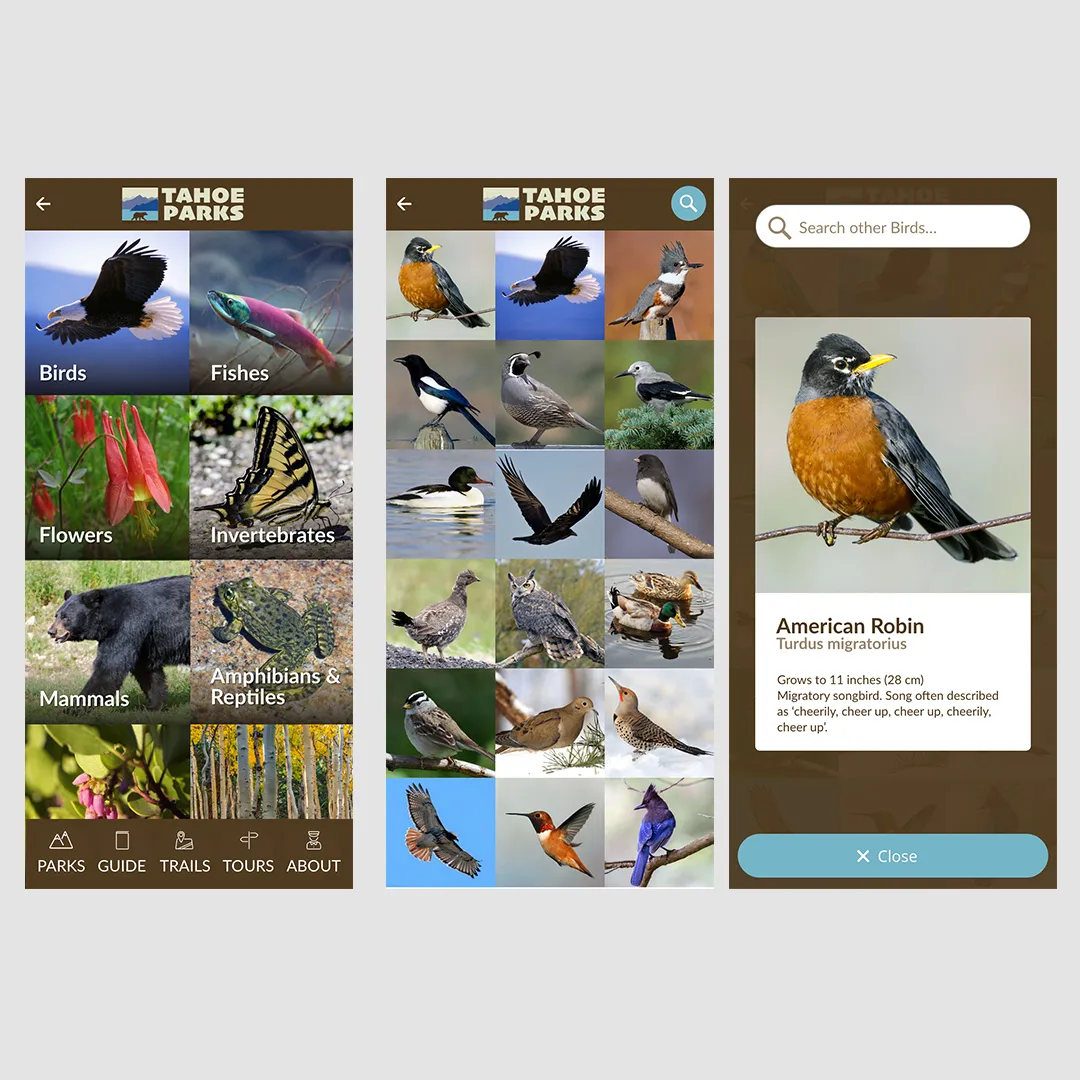 Tahoe Parks field guide screens for birds and wildlife